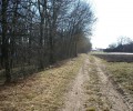 Joshofen Landschaft